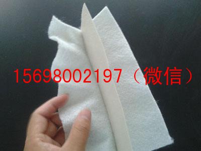 國標復(fù)合土工膜價格